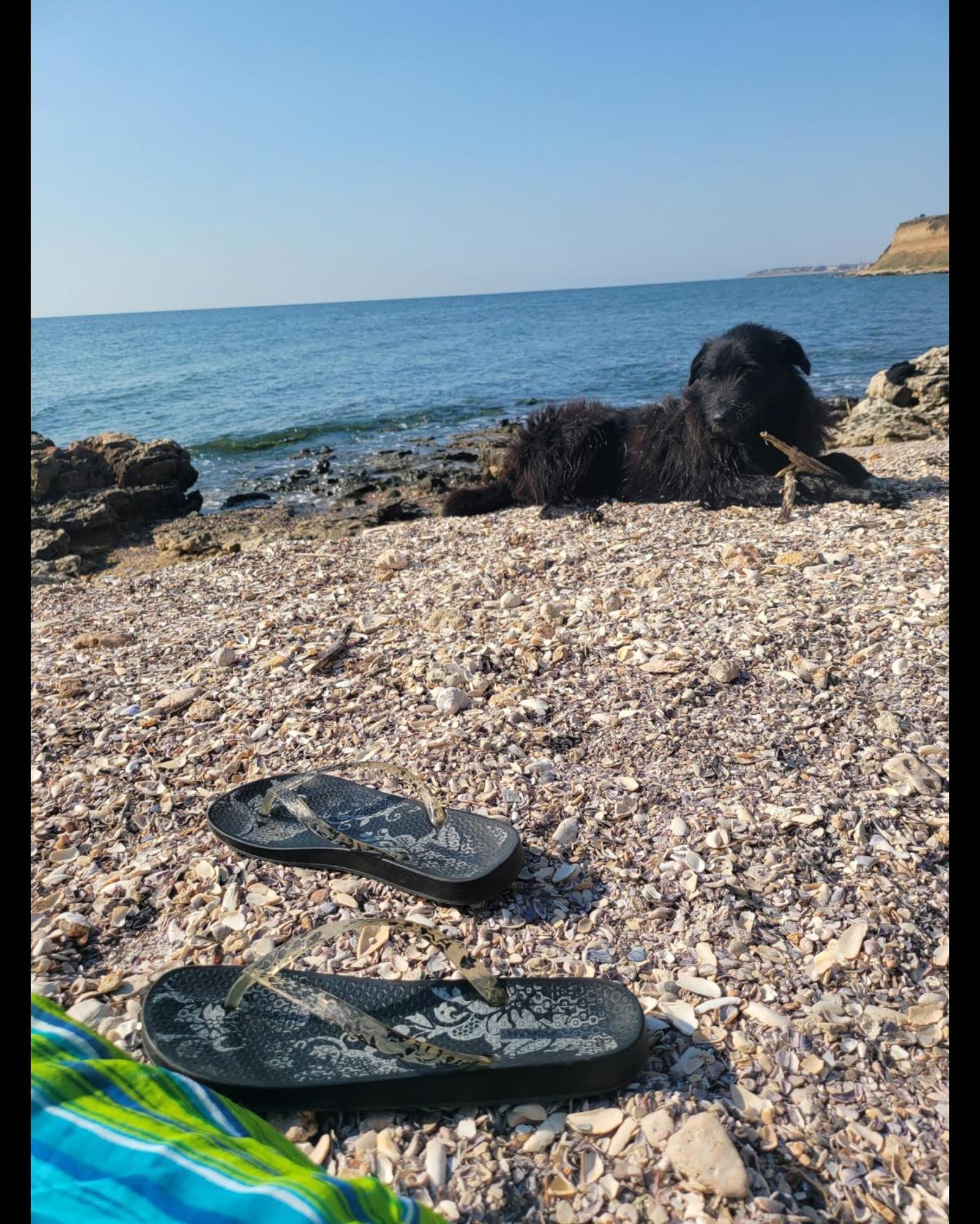 Breathe Otel Vama Veche Dış mekan fotoğraf